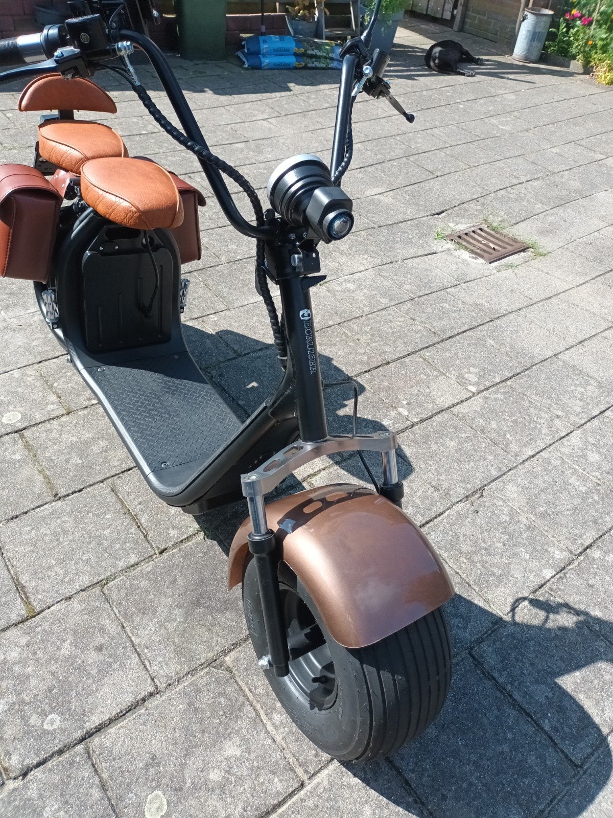 E-Cruiser 2021 – Slechts 340 km – Incl. zadeltassen & helmen, Ophalen, Zo goed als nieuw, Overige merken