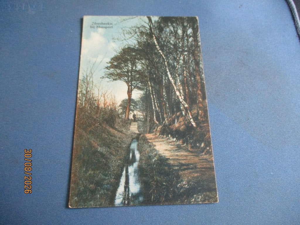 Nunspeet, Verzamelen, Ansichtkaarten | Nederland, Ophalen of Verzenden, Voor 1920, Ongelopen, Gelderland