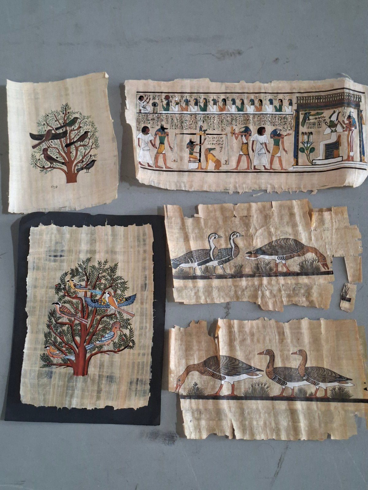 Grote collectie Egyptische papyrus, bouwdoos, poster en meer, Ophalen of Verzenden