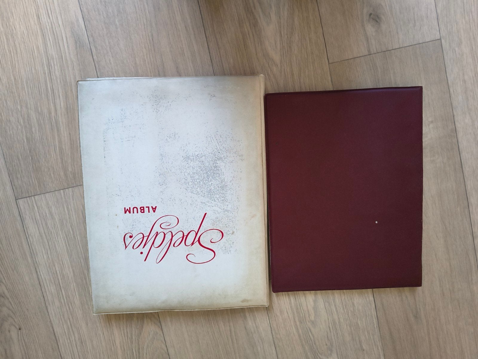 Grote verzameling vintage speldjes en pins met album, Verzamelen, Ophalen of Verzenden, Gebruikt, Merk, Speldje of Pin