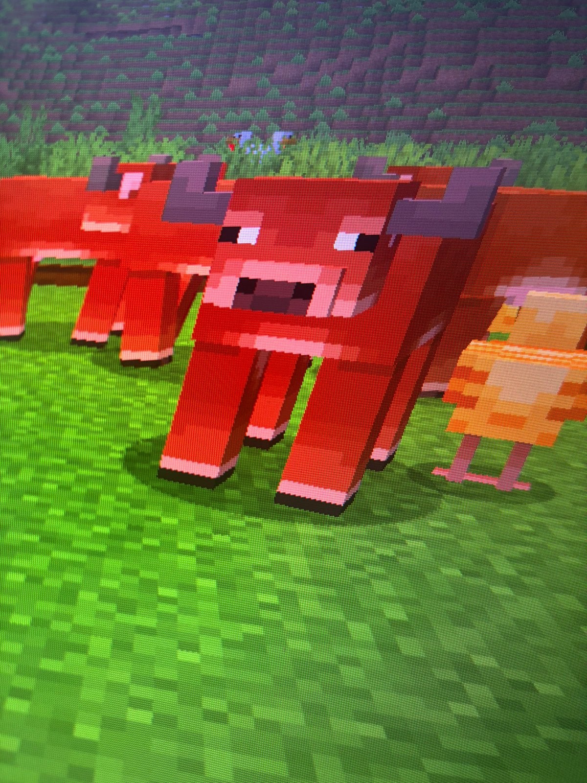 Minecraft koe, Ophalen of Verzenden