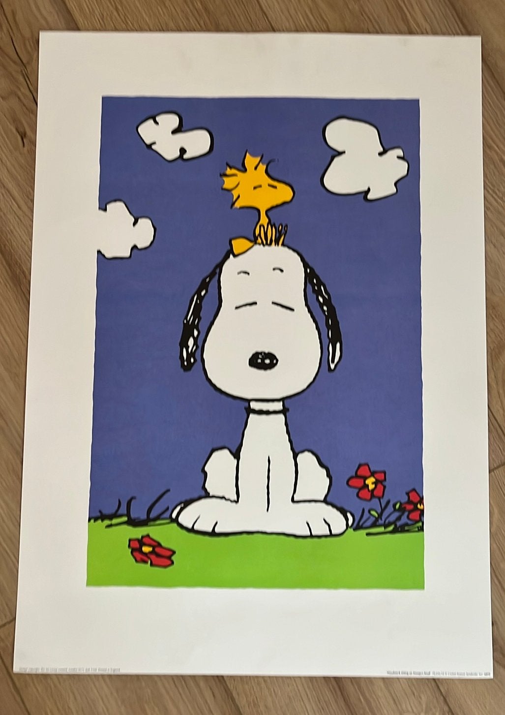 Snoopy en Woodstock poster 50 x 70 cm, 50 – 75, Ophalen of Verzenden, Zo goed als nieuw, Foto of Poster