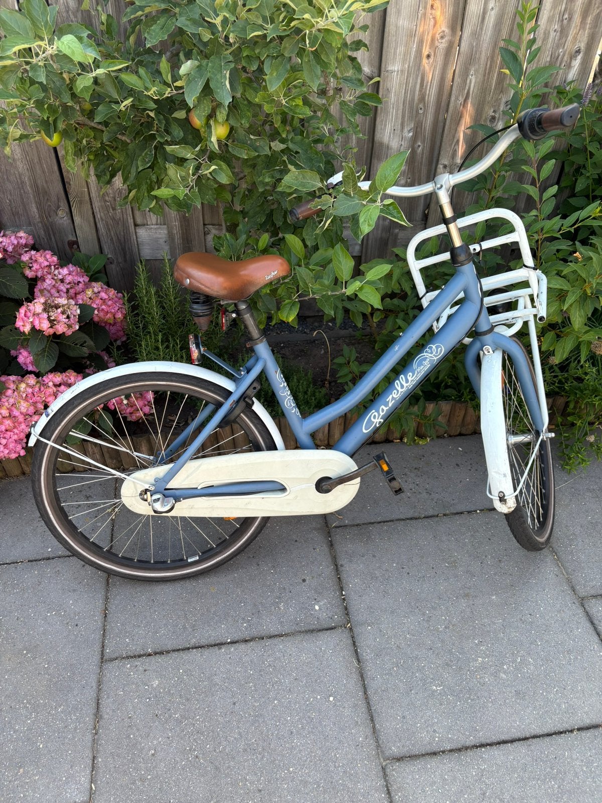 Meisjes fiets, Ophalen, Gebruikt, 24 inch, Versnellingen