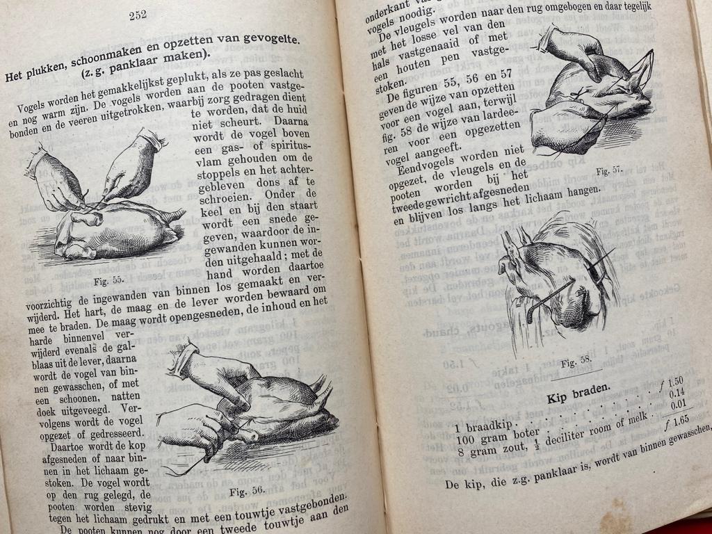 Geïllustreerd kookboek (ca. 1920 met 92 illustraties), Boeken, Kookboeken, Ophalen of Verzenden, Gelezen, Europa
