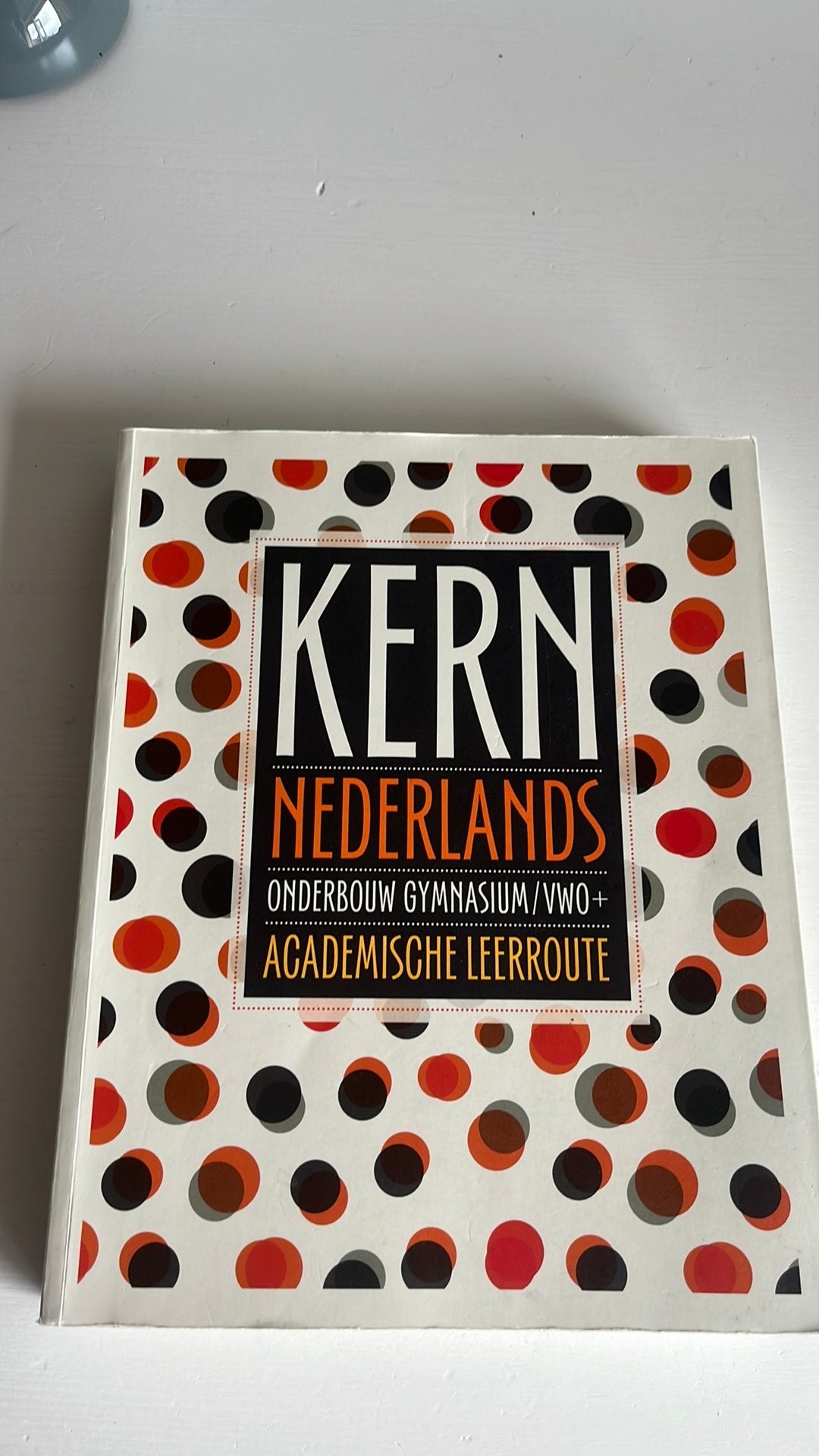 Kern Nederlands boek, Ophalen of Verzenden, Zo goed als nieuw
