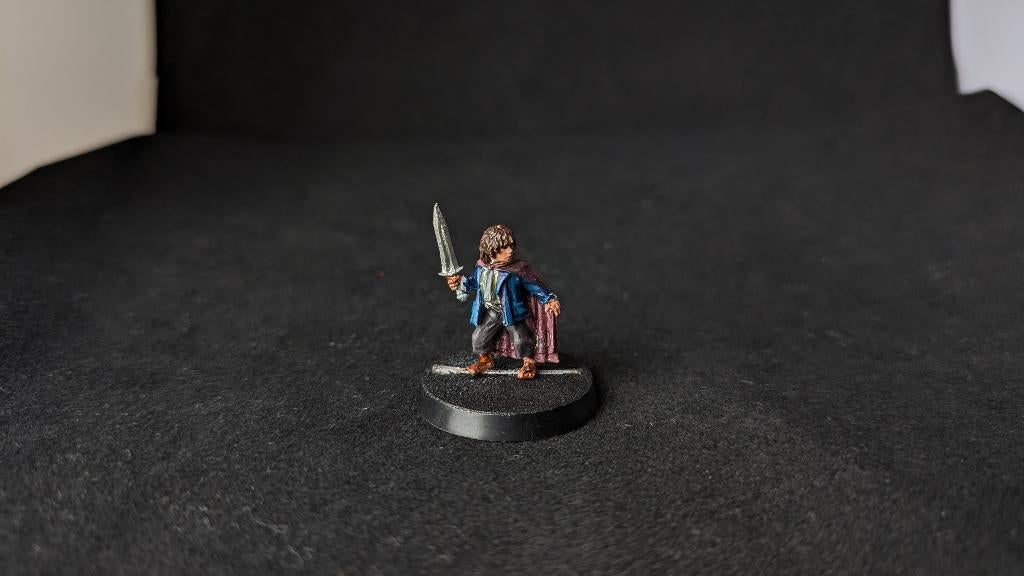 Pippin (Weathertop), Ophalen of Verzenden