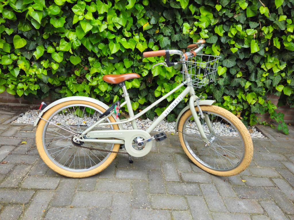 Veloretti 20 inch, Fietsen en Brommers, Ophalen, 20 inch of meer, Veloretti