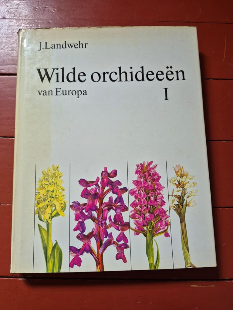 Wilde orchideeën van Europa I - J. Landwehr, Verzenden, Gelezen, Bloemen, Planten en Bomen, J. Landwehr