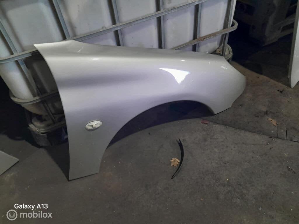 Spatscherm Peugeot 206, Auto-onderdelen, Gebruikt, Ophalen of Verzenden