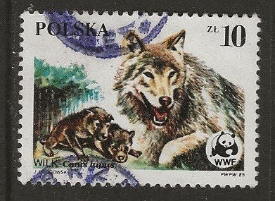 Polen 34, wolf voor cadee, Verzenden, Polen, Gestempeld