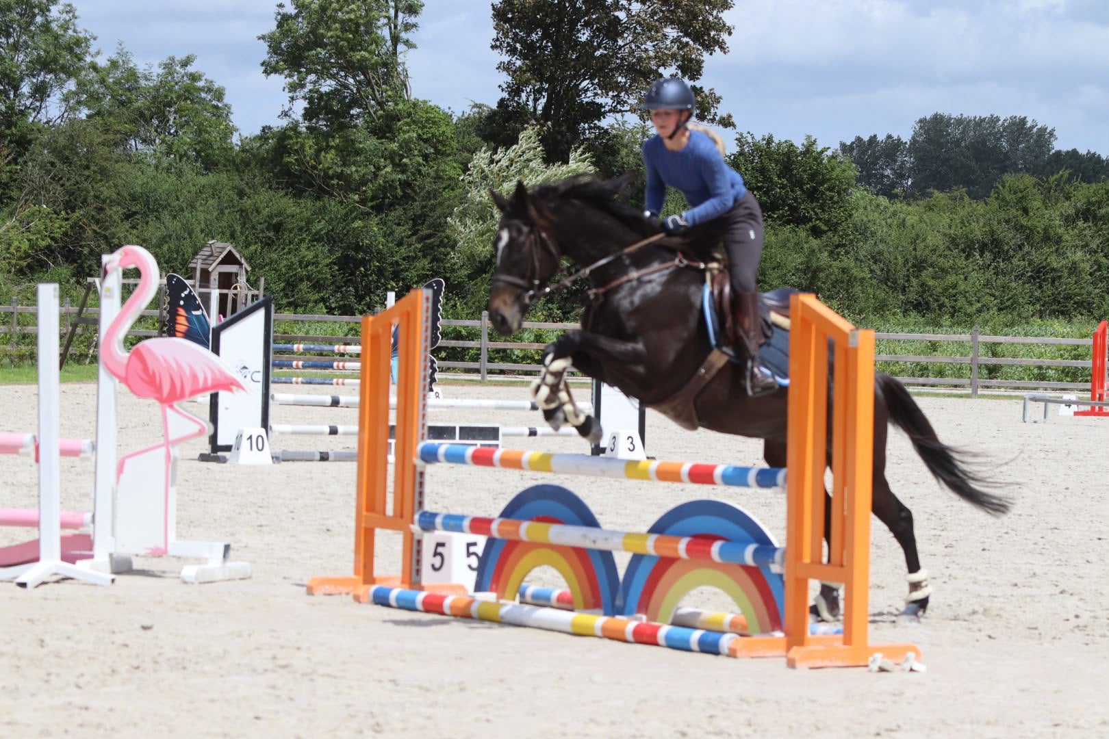 Mooie zwarte merrie van 7 jaar – 1m60, Dieren en Toebehoren, Pony's, Zadelmak, 3 tot 6 jaar, Gechipt, Recreatiepony