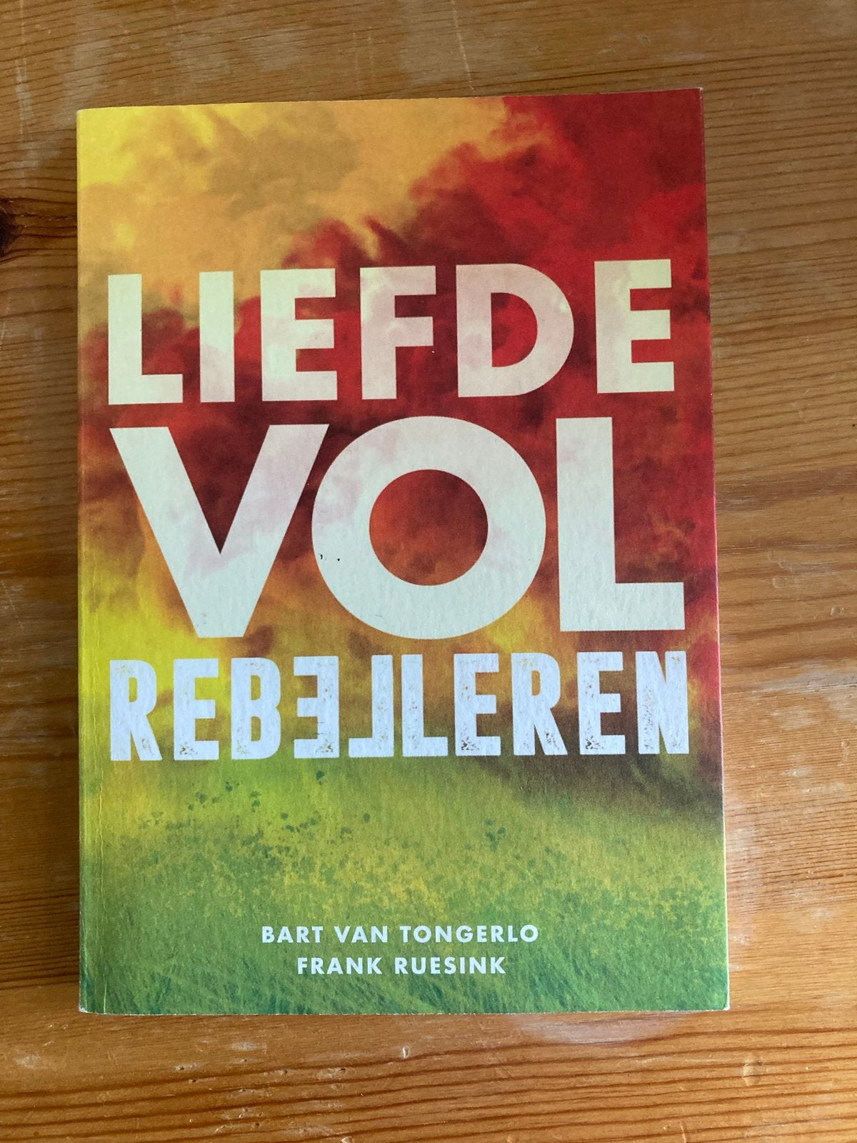 Liefdevol Rebelleren - Bart van Tongerlo & Frank Ruesink, Ophalen of Verzenden, Zo goed als nieuw, Nederland