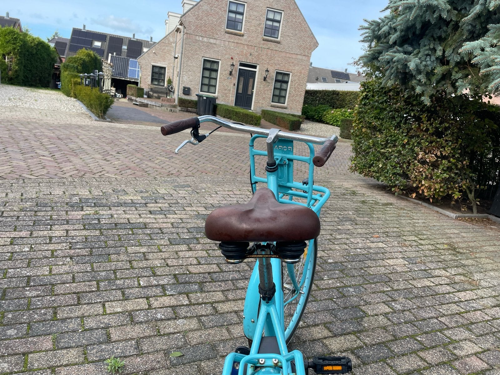 Popal fiets met voordrager en terugtraprem, Terugtraprem, Gebruikt, Handrem, Ophalen