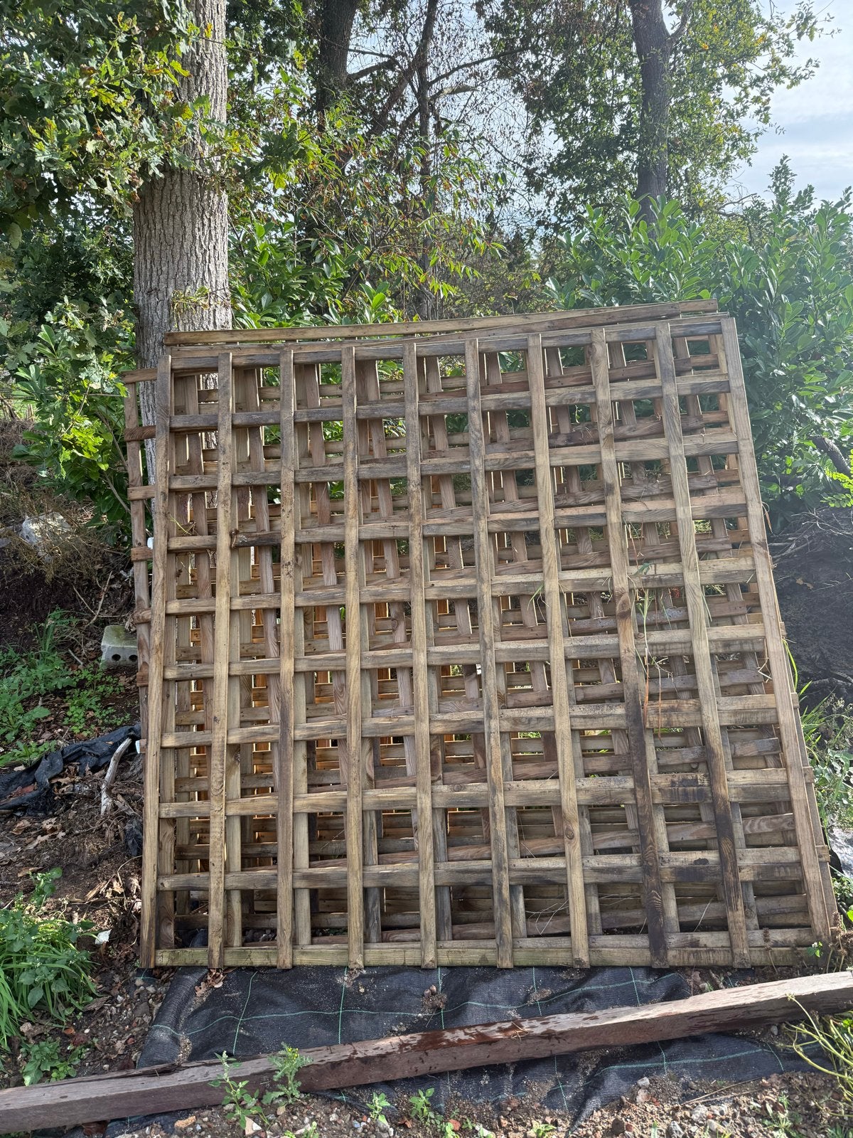 Houten tuinrek/scherm - Gebruikt, Ophalen, Gebruikt, Hout, 150 tot 200 cm