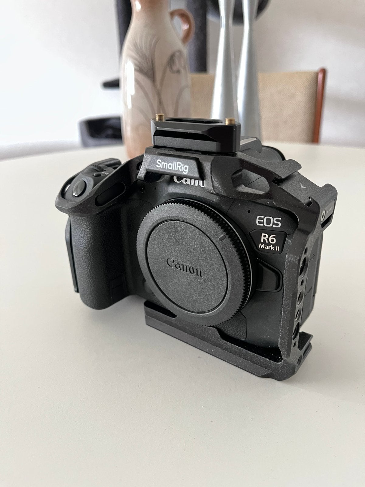 Canon R6mkii, inclusief snallrig cage (aantal keer gebruikt), Canon, Ophalen of Verzenden, Zo goed als nieuw, Systeemcamera