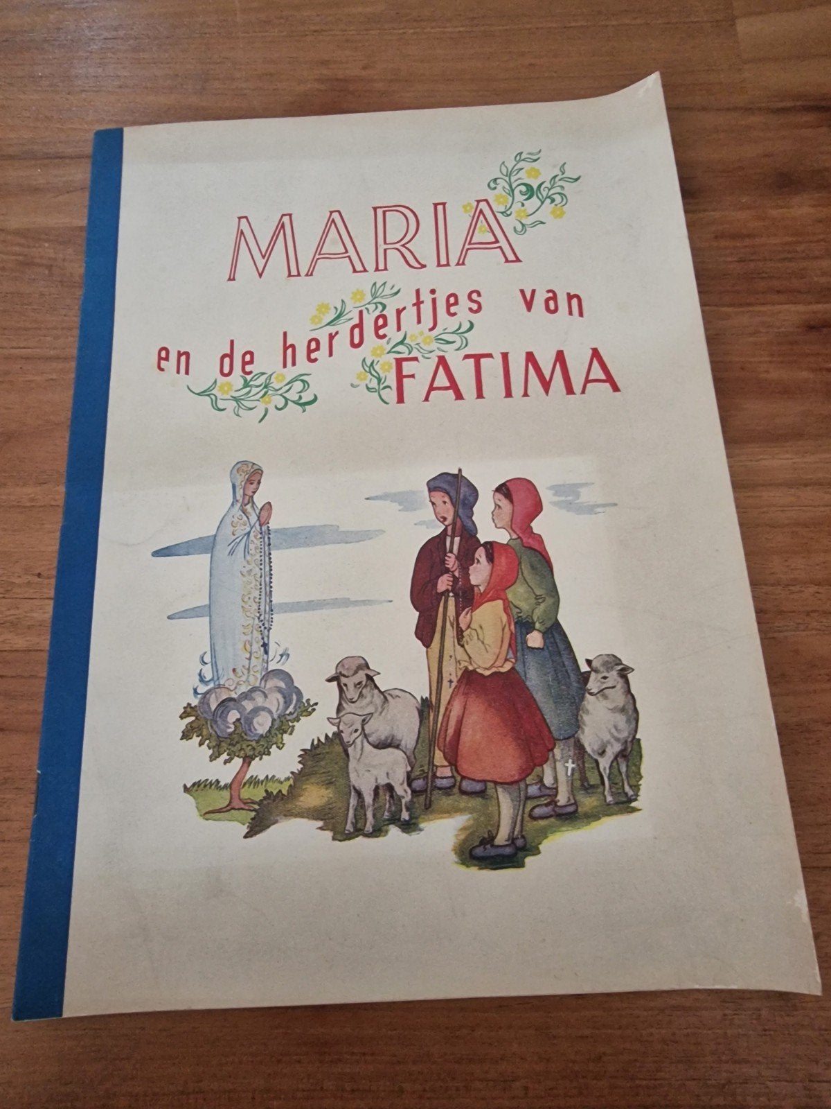 Maria en de herderjes van Fatima - Religieus kinderboek, Boeken, Ophalen of Verzenden