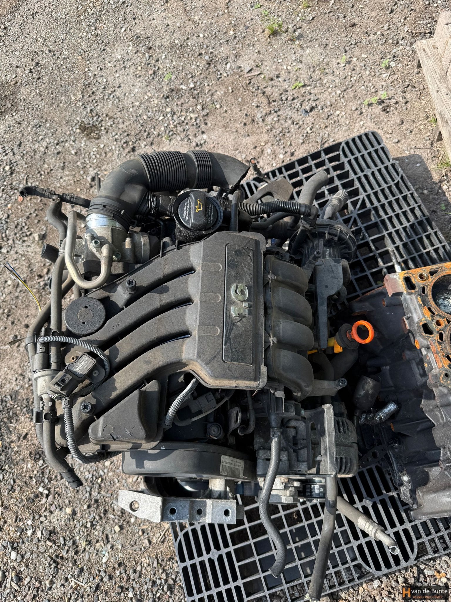 Motor Volkswagen/Seat code: BGU, Ophalen, Gebruikt, -, Volkswagen