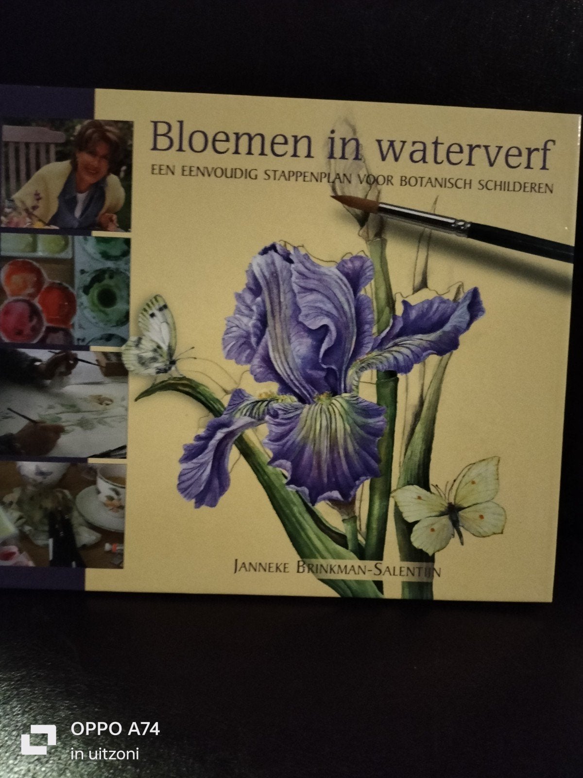 Bloemen in waterverf: Botanisch schilderen, Ophalen of Verzenden, Zo goed als nieuw, Schilder- en Tekenkunst, Janneke Brinkman-Salentijn
