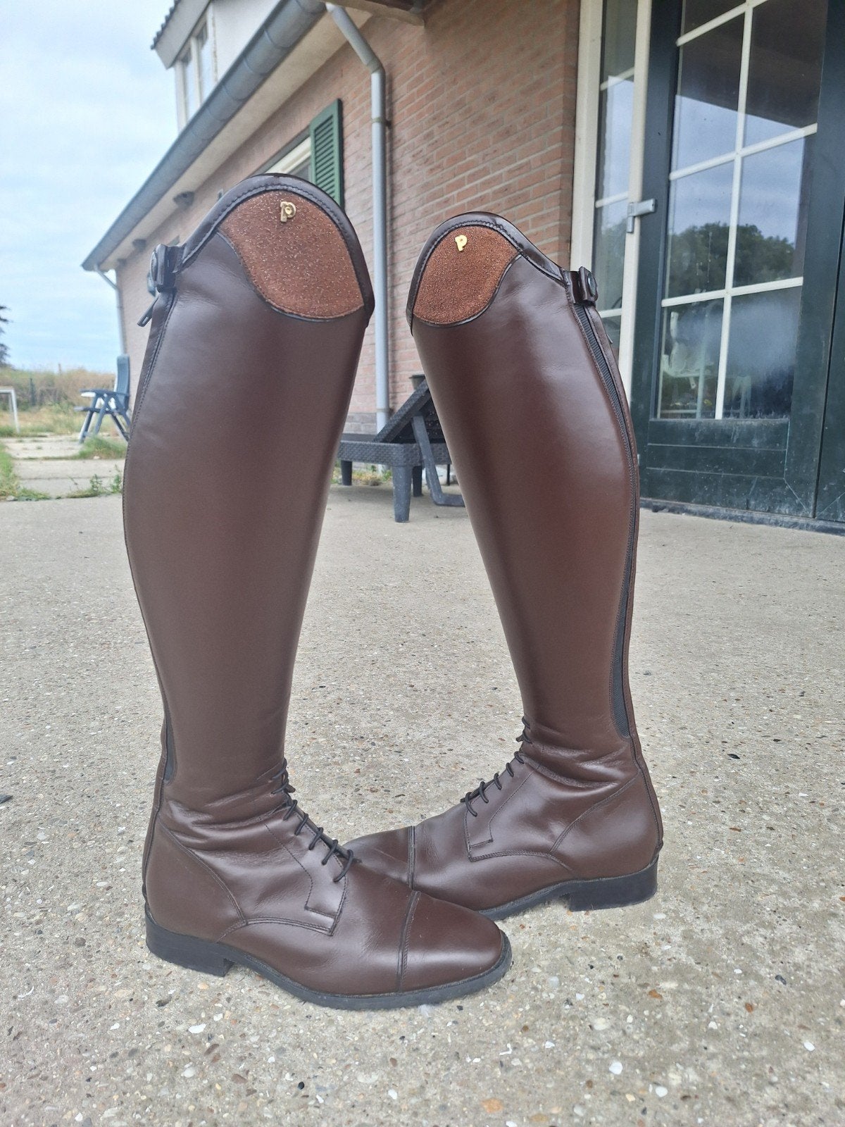 Petrie Riva Stardust Bruin maat 39N zgan, Dieren en Toebehoren, Paardrijkleding, Dressuur, Ophalen of Verzenden, Zo goed als nieuw