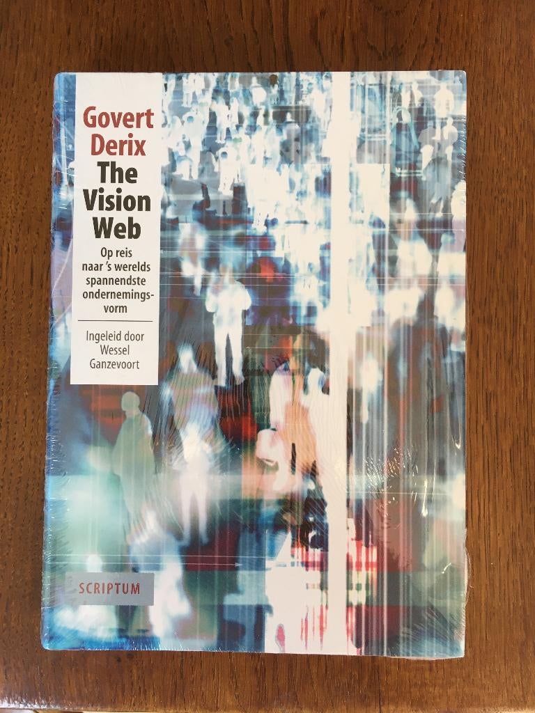 "The Vision Web" Govert Derix Nieuw Gesealed, Ophalen of Verzenden, Nieuw, Economie en Marketing