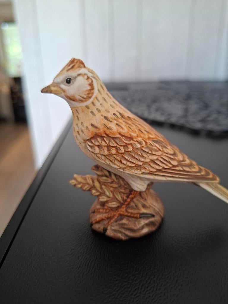 DIVERSE JAARVOGELS, Verzenden, Zo goed als nieuw, Dier