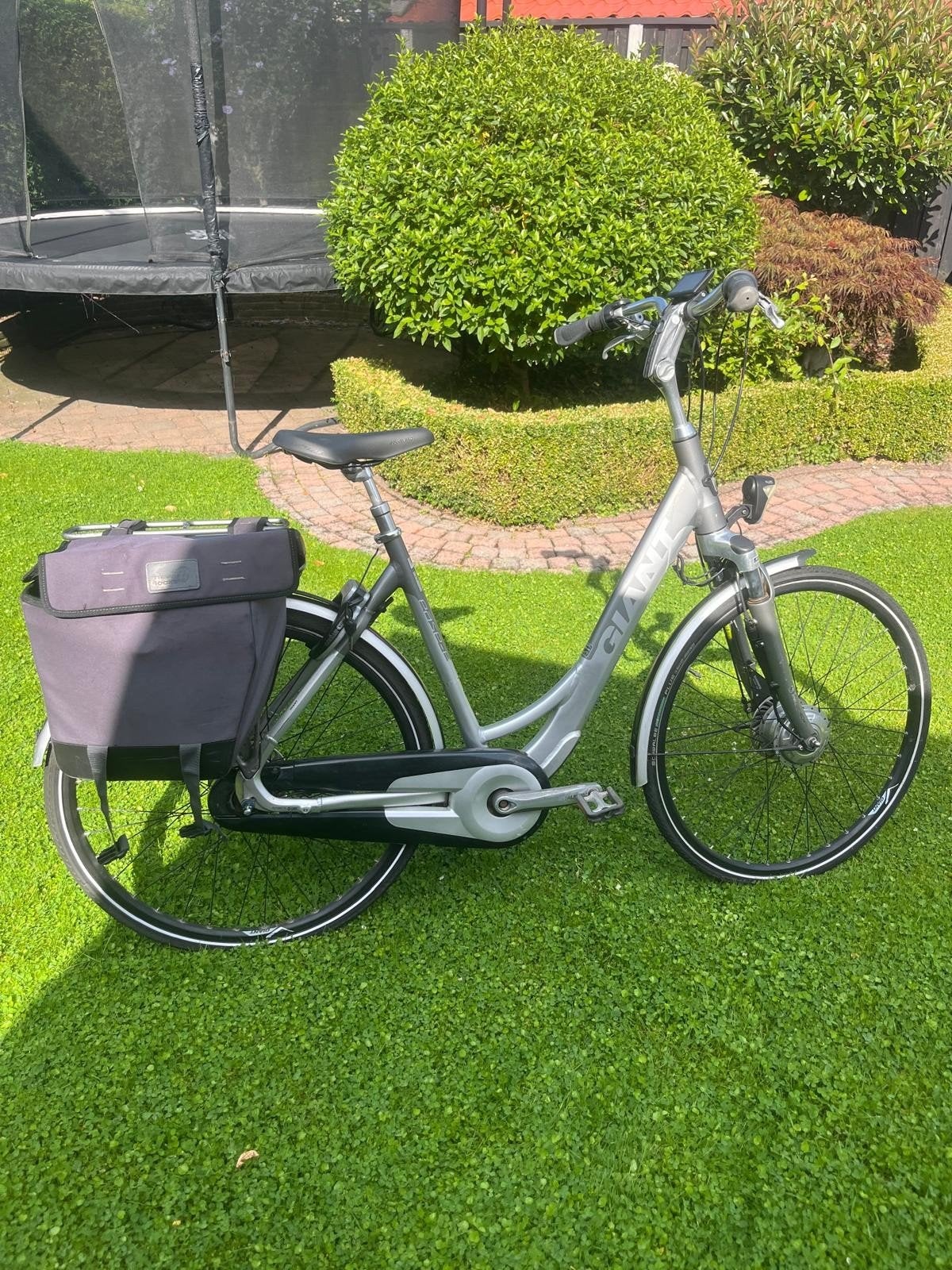 Giant Ease-E E-bike met fietstassen, Ophalen, Gebruikt, Giant, 51 tot 55 cm