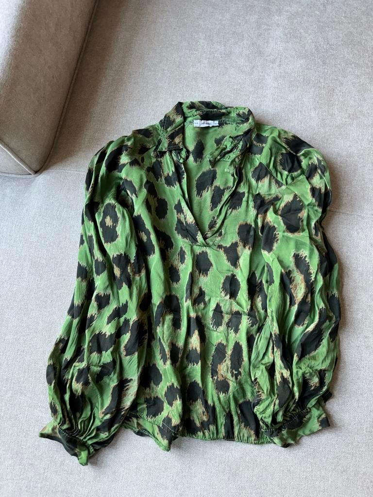 Ambika groene blouse met luipaardprint, Ophalen of Verzenden, Gedragen, Maat 38/40 (M), Groen