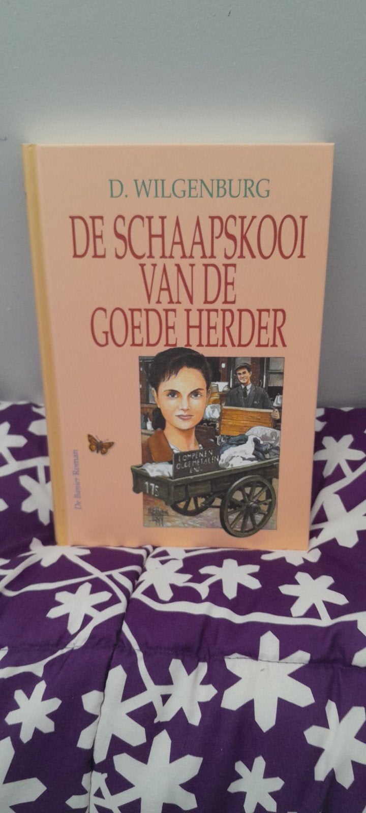 De Schaapskooi van de Goede Herder - D. Wilgenburg, Ophalen of Verzenden, Gelezen, D. Wilgenburg