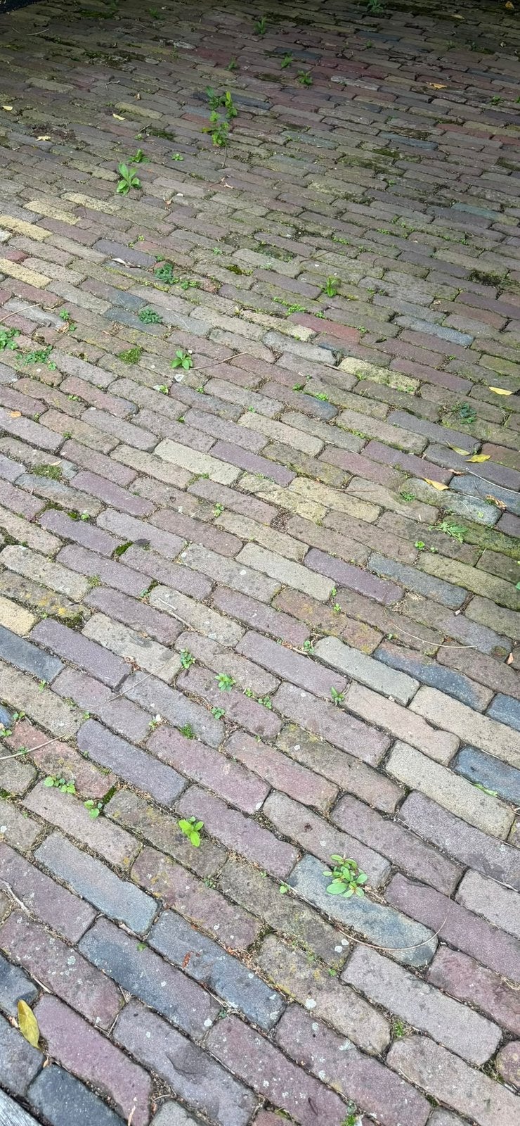 73m² Originele oude Waaltjes authentieke bestrating klinkers, Tuin en Terras, Ophalen, Gebruikt, Klinkers, 10 m² of meer