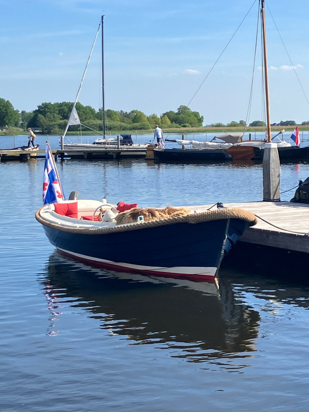 Sloep Albatros 21 - Vaarklaar met recente onderhoudsbeurt, Binnenboordmotor, Antifouling, Ophalen, Overige merken