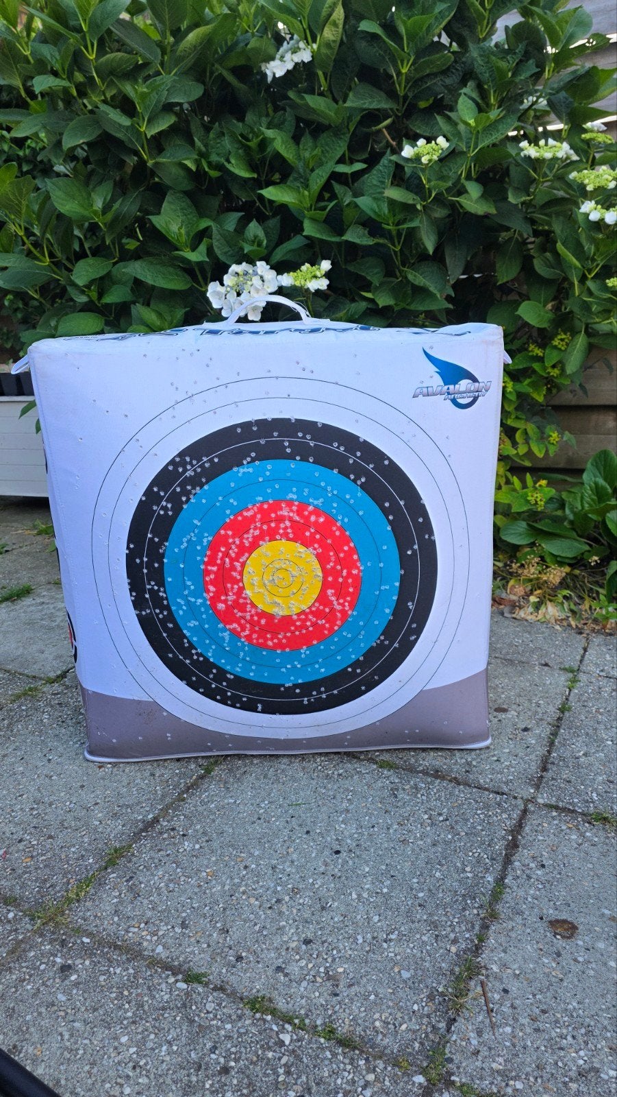 Target Avalon TEC Target 70 Boogschietdoelwit - gebruikt, Ophalen