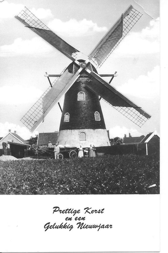 Oude ansichtkaart Korenmolen De Rozeboom ca. 1900, Ophalen of Verzenden, 1960 tot 1980, Ongelopen, Zeeland
