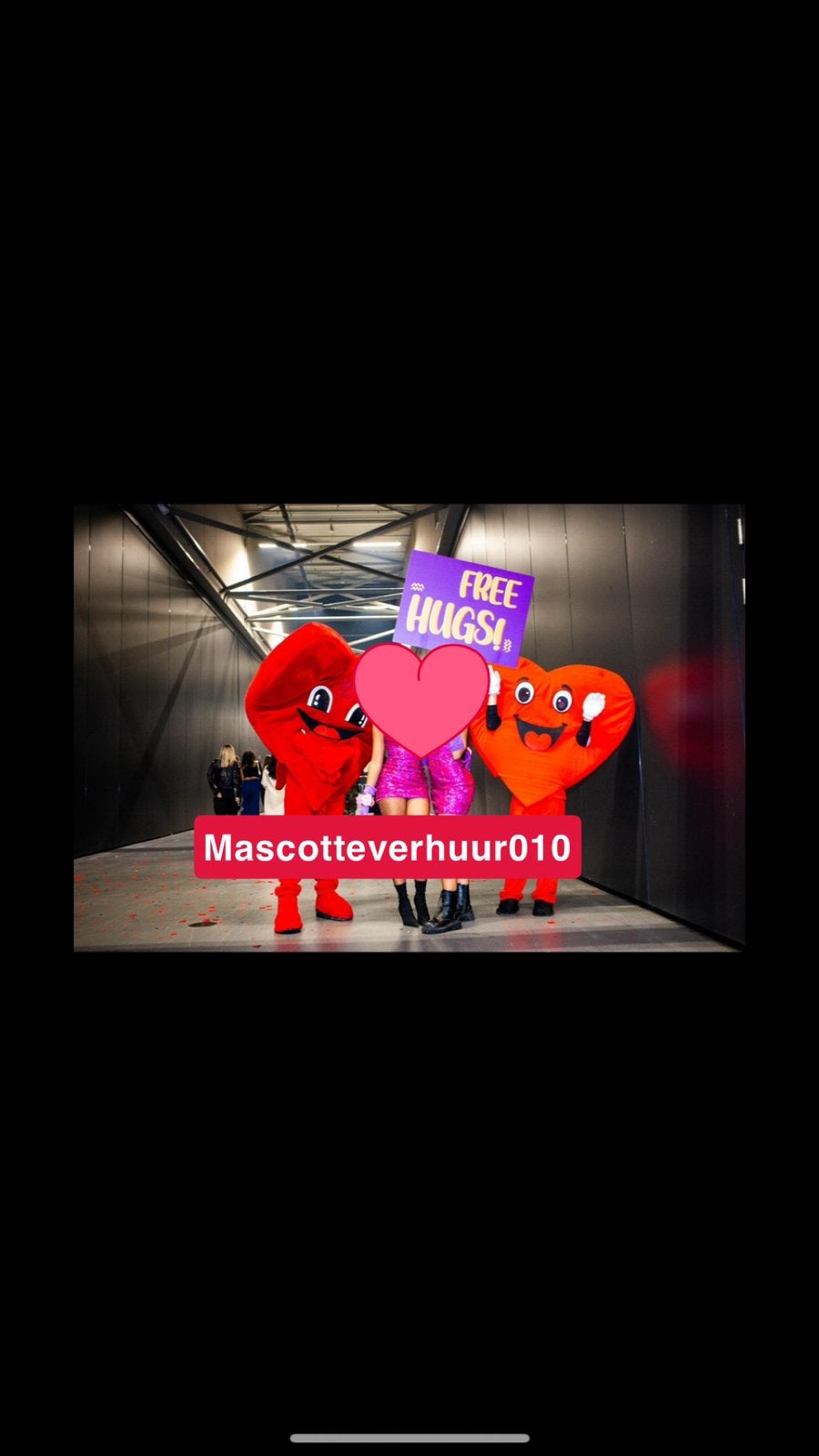 Hartje mascotte te huur, Ophalen, Zo goed als nieuw, Valentijn of Romantisch