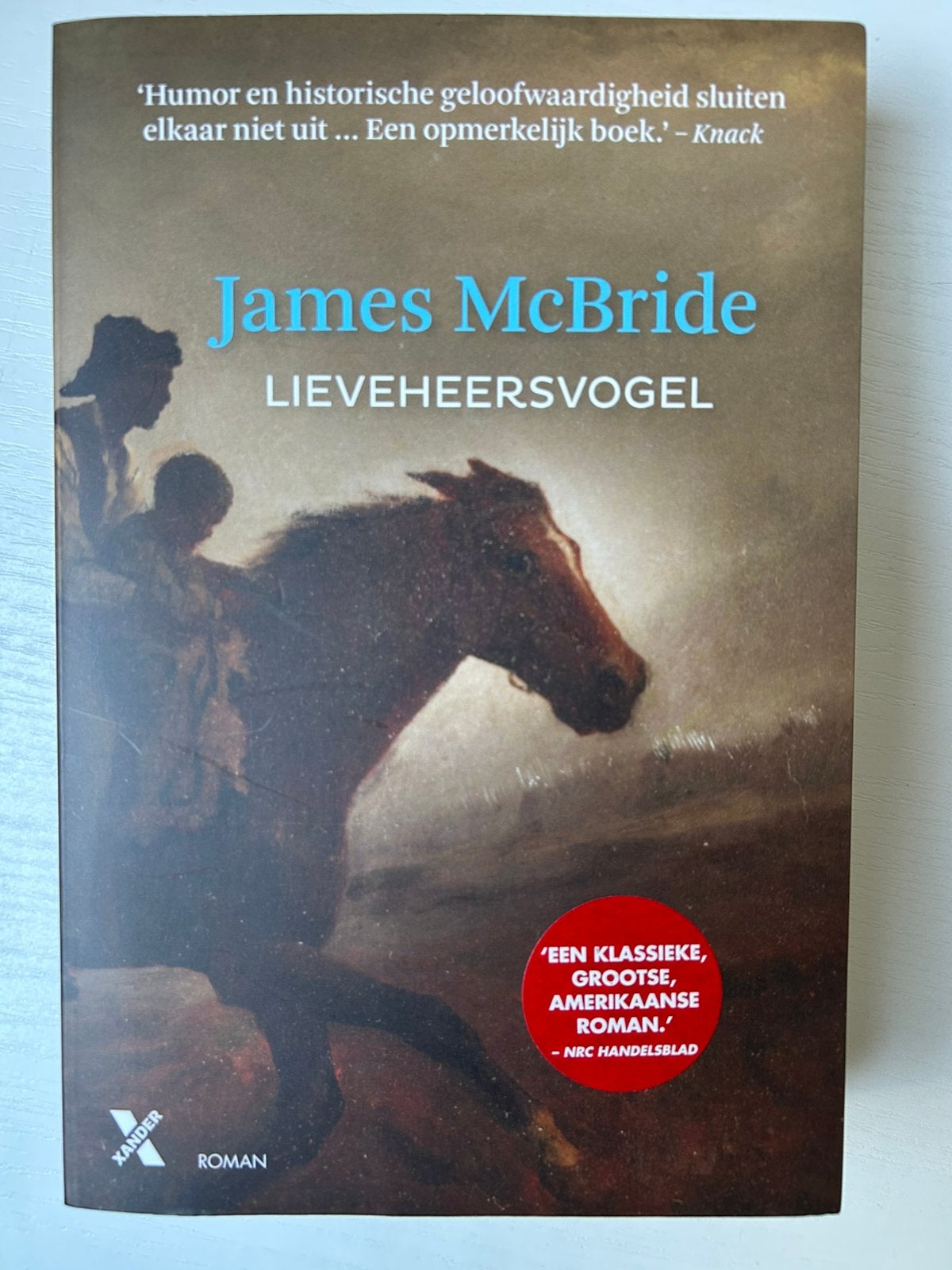 James McBride - Lieveheersvogel, Ophalen of Verzenden, Gelezen, James McBride