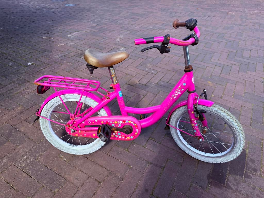 LIEF! kinderfiets 16 inch meisjes, Fietsen en Brommers, Ophalen of Verzenden, Gebruikt, 16 tot 20 inch