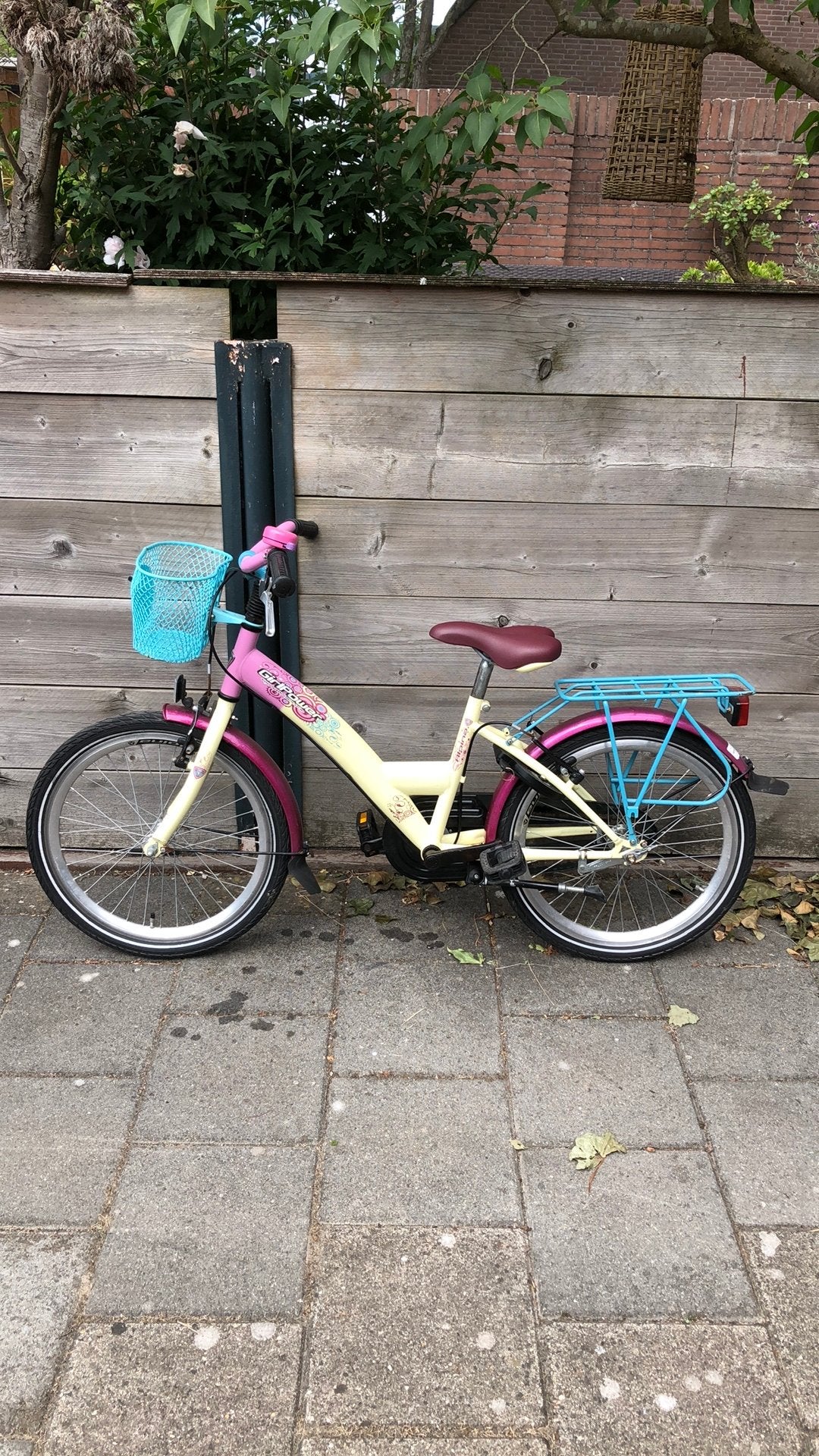 Alpina  meisjes fiets  20 inc met slot  en handrem, Ophalen, Zo goed als nieuw, 16 tot 20 inch