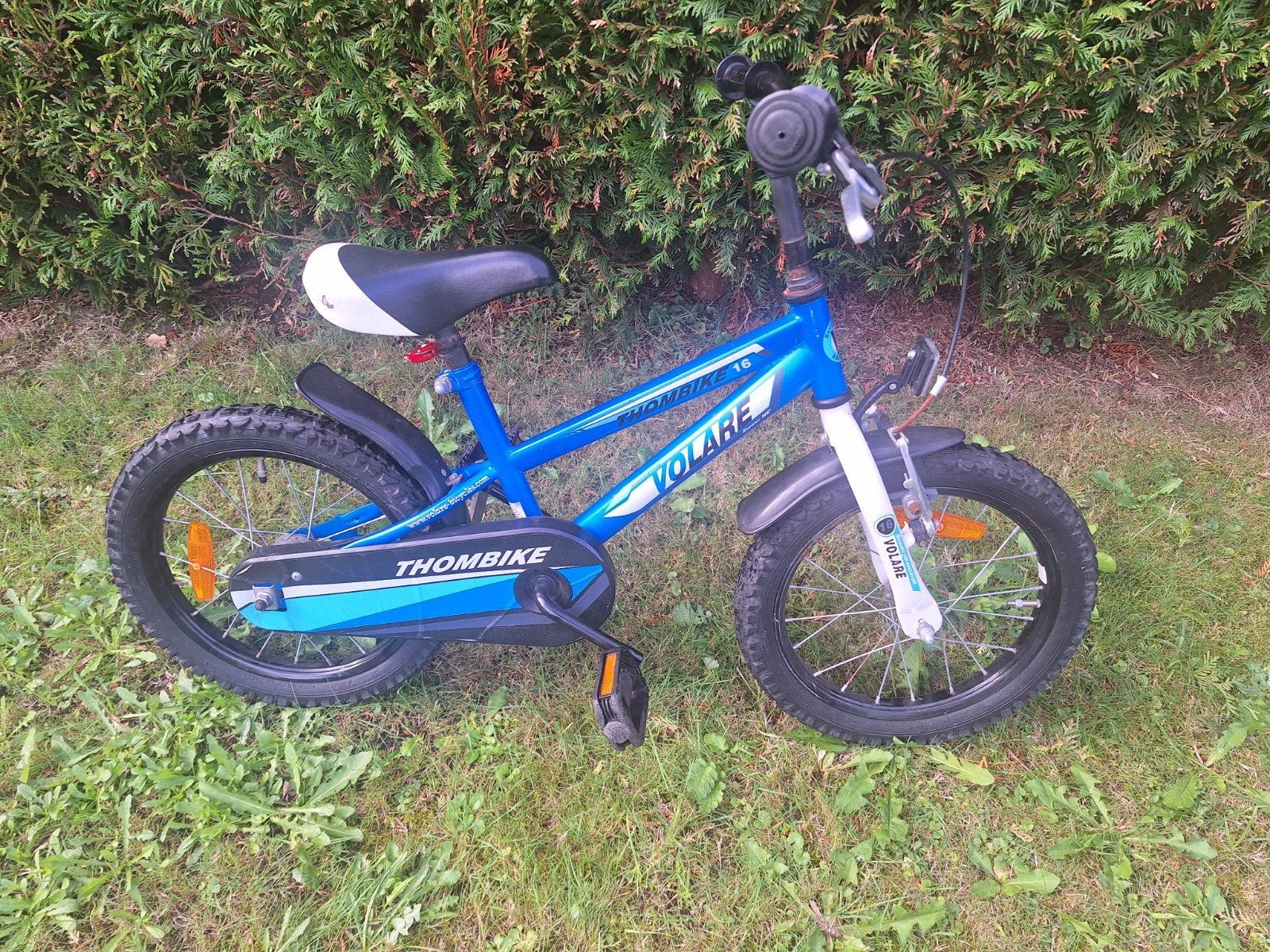 Volare ThomBike 16 inch kinderfiets - Blauw, Ophalen, Terugtraprem, Volare ThomBike, 16 tot 20 inch