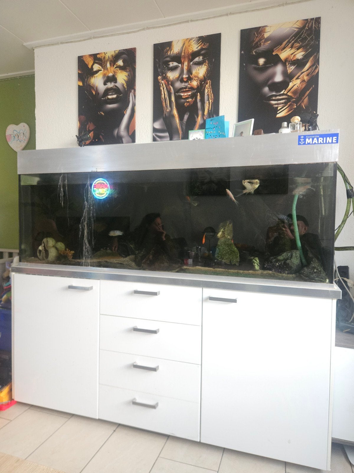 Mooie grote Aquarium inclusief toebehoren., Ophalen, Gebruikt, Gevuld zoetwateraquarium, Blue Marine