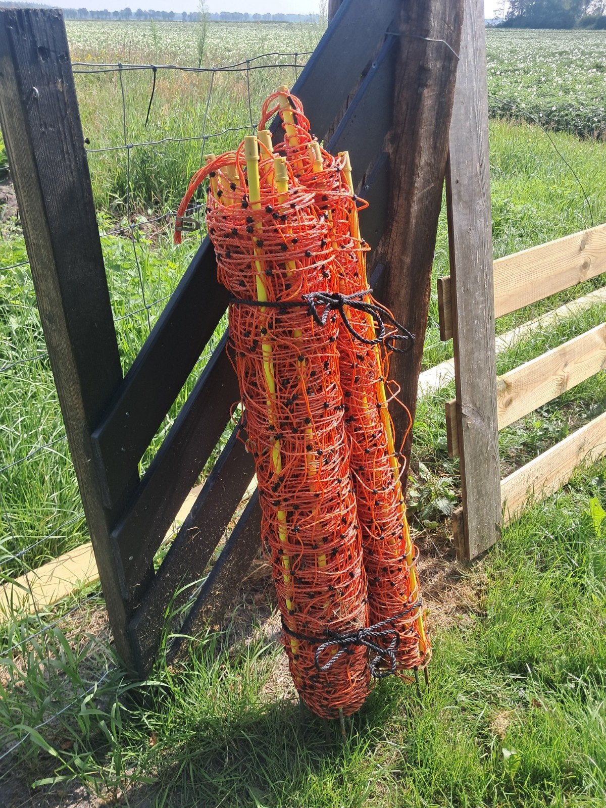 Oranje schrikdraad/afrastering voor weide of tuin, Tuin en Terras, Ophalen of Verzenden, Minder dan 10 meter