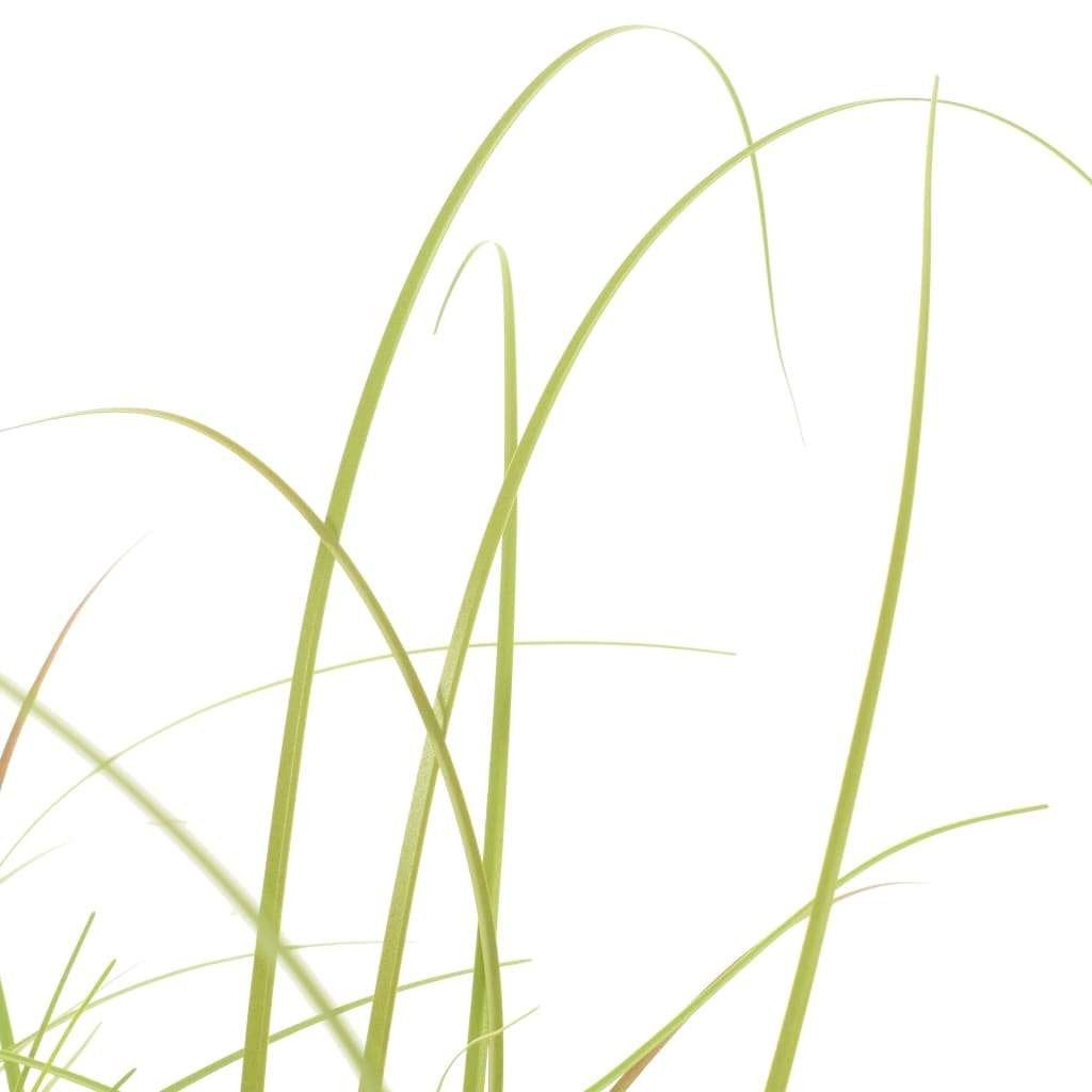 Kunstplant kamerplant Kunstgrasplant 95 cm GRATIS BEZORGD!, Binnen, Bruin, Verzenden, Onderhoudsvrij