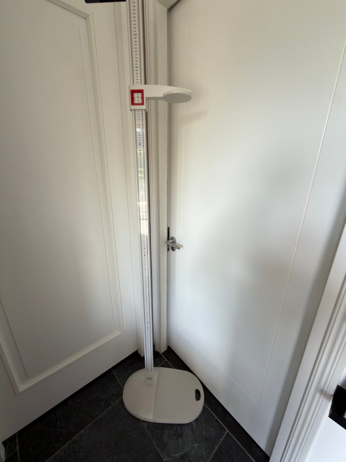 Profeesionele Lengtemeter, Ophalen, Nieuw, Overige typen