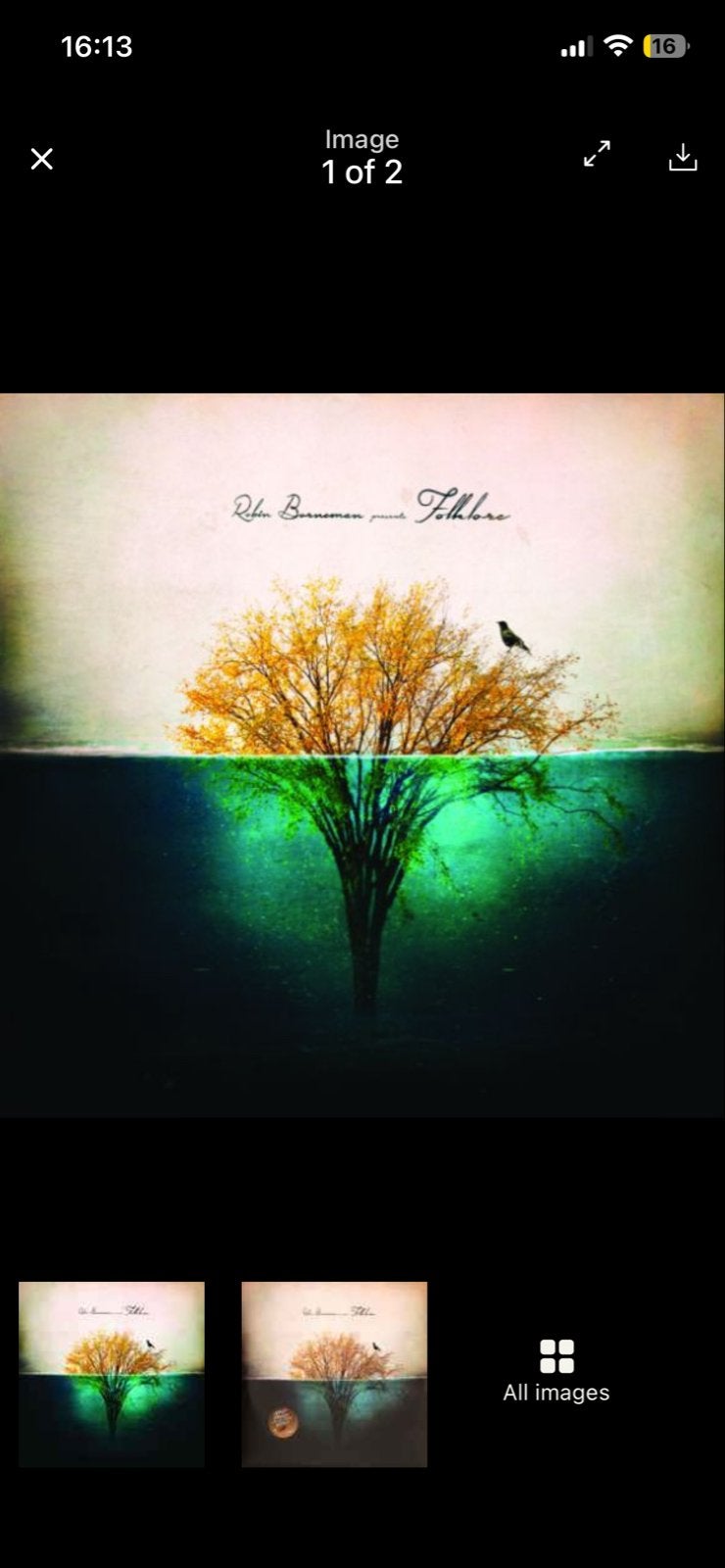 Robin Borneman - Folklore I: The Waving Days (LP, Limited), Cd's en Dvd's, Vinyl | Pop, LP, Ophalen of Verzenden, Zo goed als nieuw