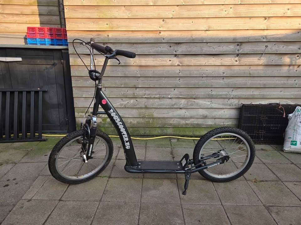 Step voor met honden (dogscooter eu), Ophalen