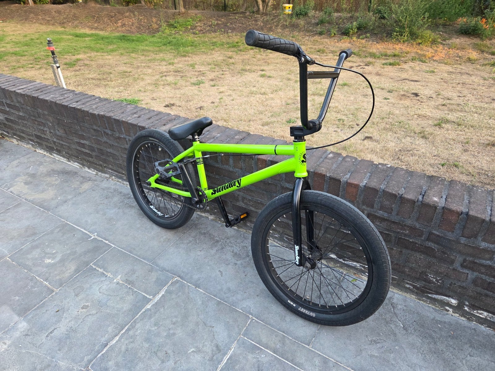 Sunday Forecaster Freecoaster BMX - Aaron Ross uitvoering, Ophalen, Staal, Velgrem, 20 tot 24 inch