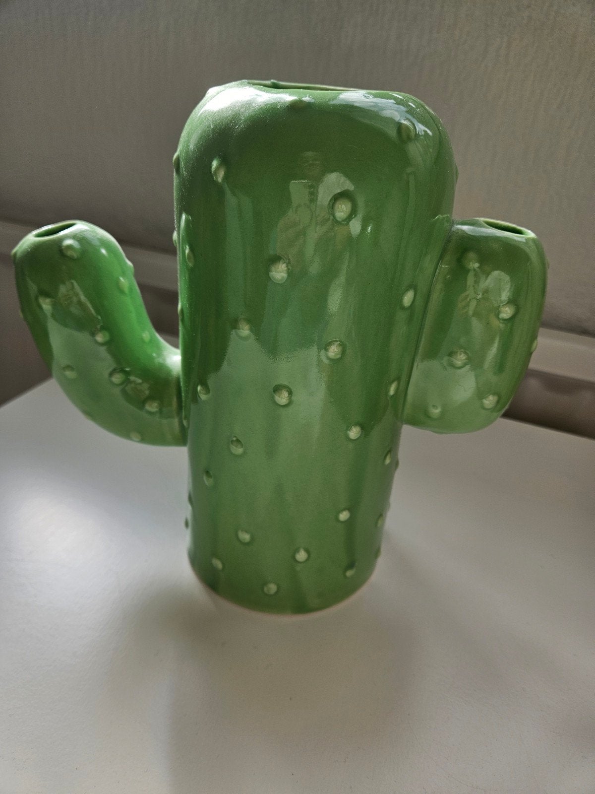 Leuke cactus vaas - groen keramiek, Huis en Inrichting, Ophalen of Verzenden, Zo goed als nieuw, Groen, Steen/keramiek