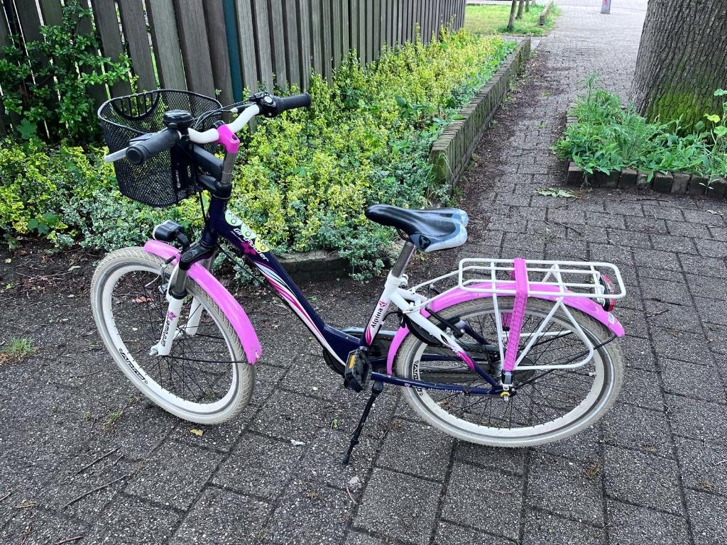Fiets Alpina girlpower 24 inch, Ophalen, Terugtraprem, Alpine, Versnellingen