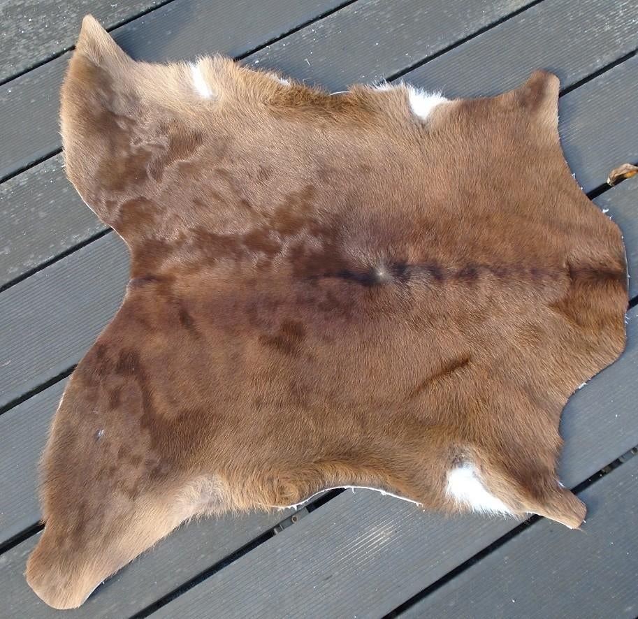KALFS HUID licht Nieuw, -, -, Nieuw, Ophalen of Verzenden