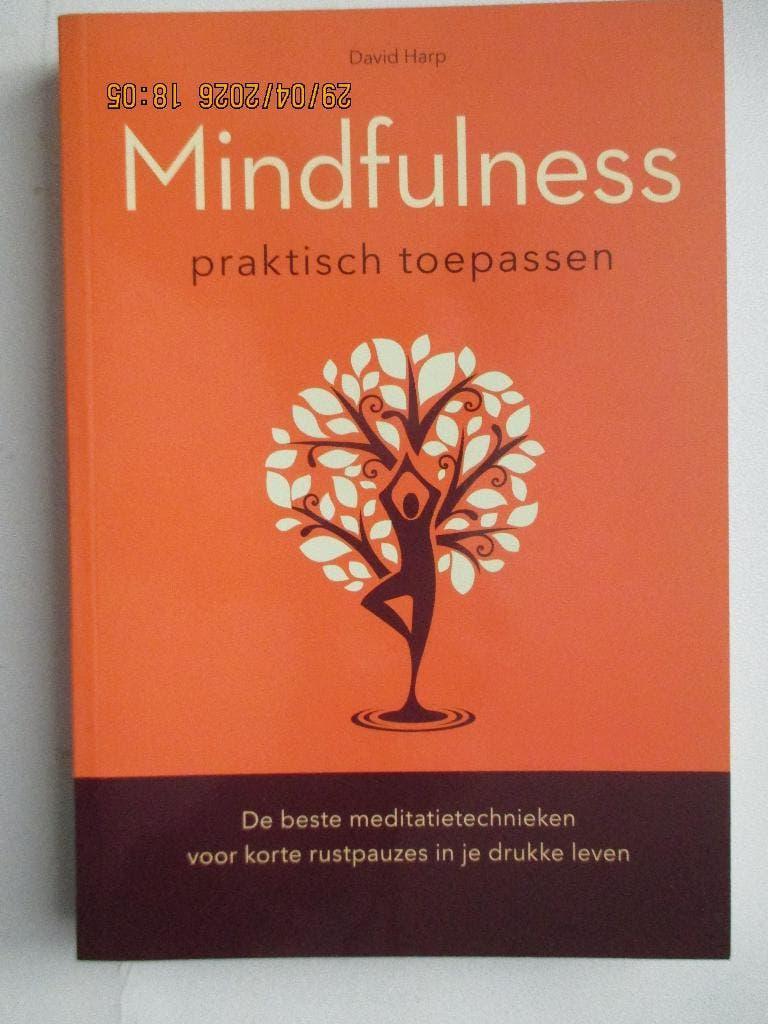 David Harp - Mindfulness praktisch toepassen, Ophalen of Verzenden, Alpha, Nieuw, HBO