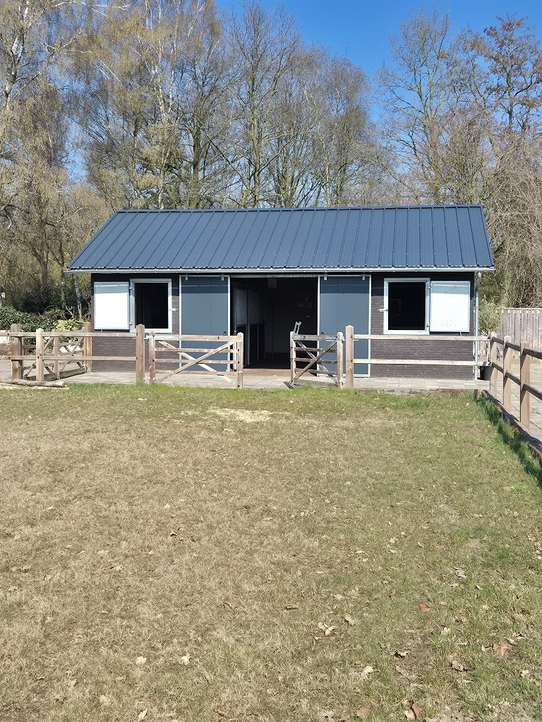 Kleinschalige paardenstalling te huur, Weidegang