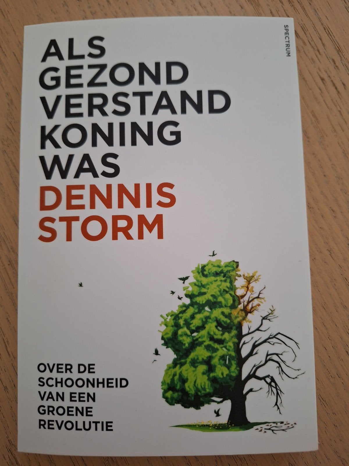 Als Gezond Verstand Koning Was - Dennis Storm, Boeken, Ophalen of Verzenden, Zo goed als nieuw, Dennis Storm, Nederland